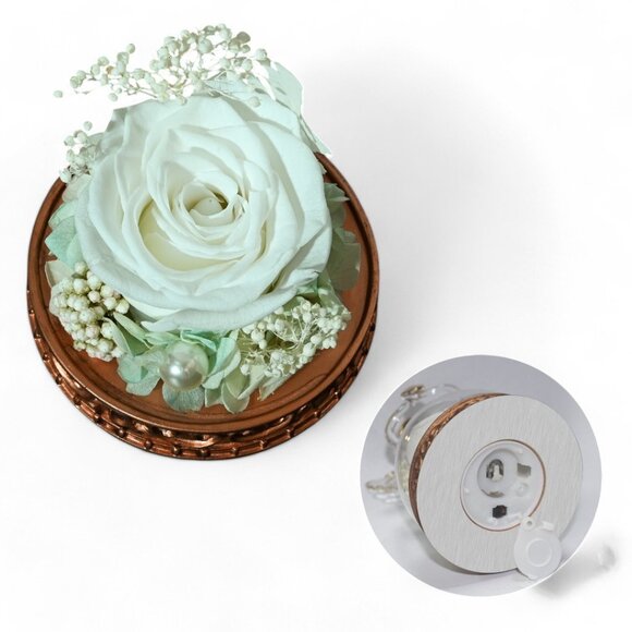 Real Preserved Rose Guardian Angel Glass Dome Copper Plated Base with LED Light - Picture 3 of 13